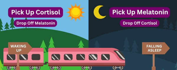 Adjusting Your Sleep For The End Of Daylight Saving Time