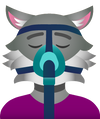 Full Face